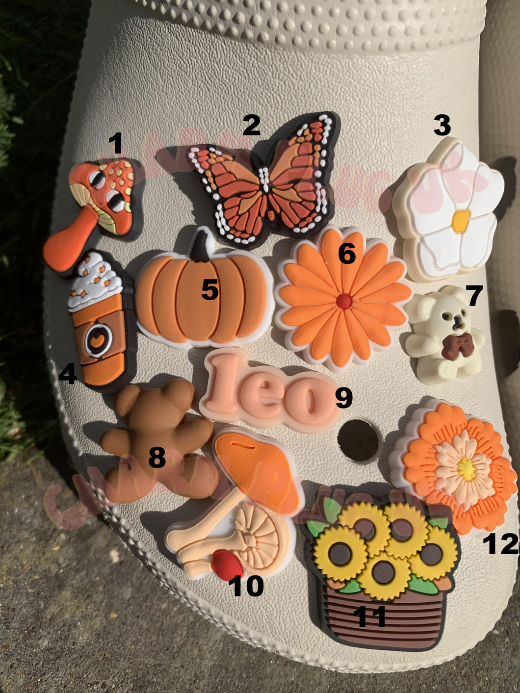 Autumn Charms Mushroom Flower Beige Aesthetic Bear Leaf Butterfly Sunflower Daisy Pumpkin Pie Leaf